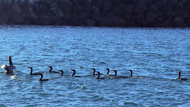 Voyage photo from 25° Keel