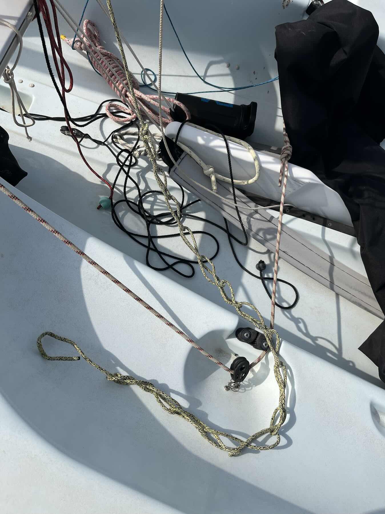 Bahia Race Training w/ the gang_B7004AAF-5482-4974-95E6-61DA6B2E4BE7