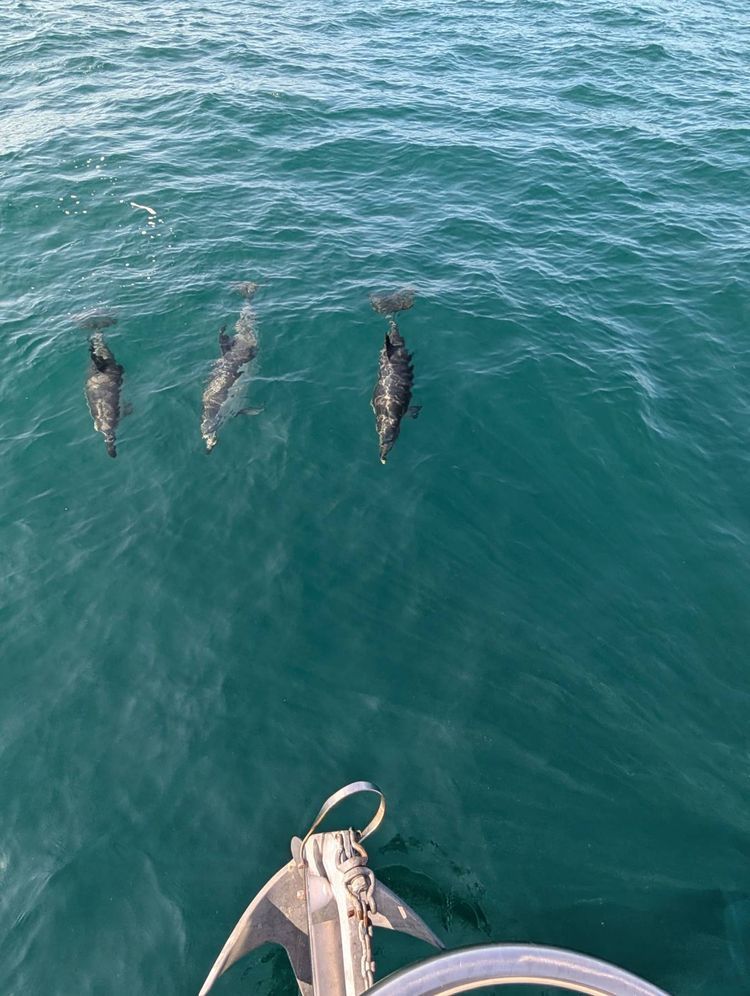 Voyage photo from Jersey to Weymouth 