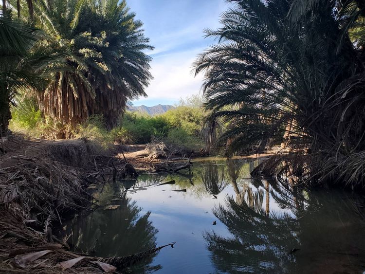 Voyage photo from Agua Verde -Bahia de Salinas