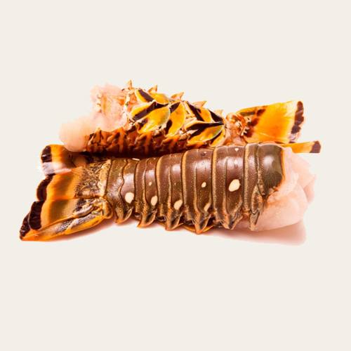 Langosta - Colas 100/