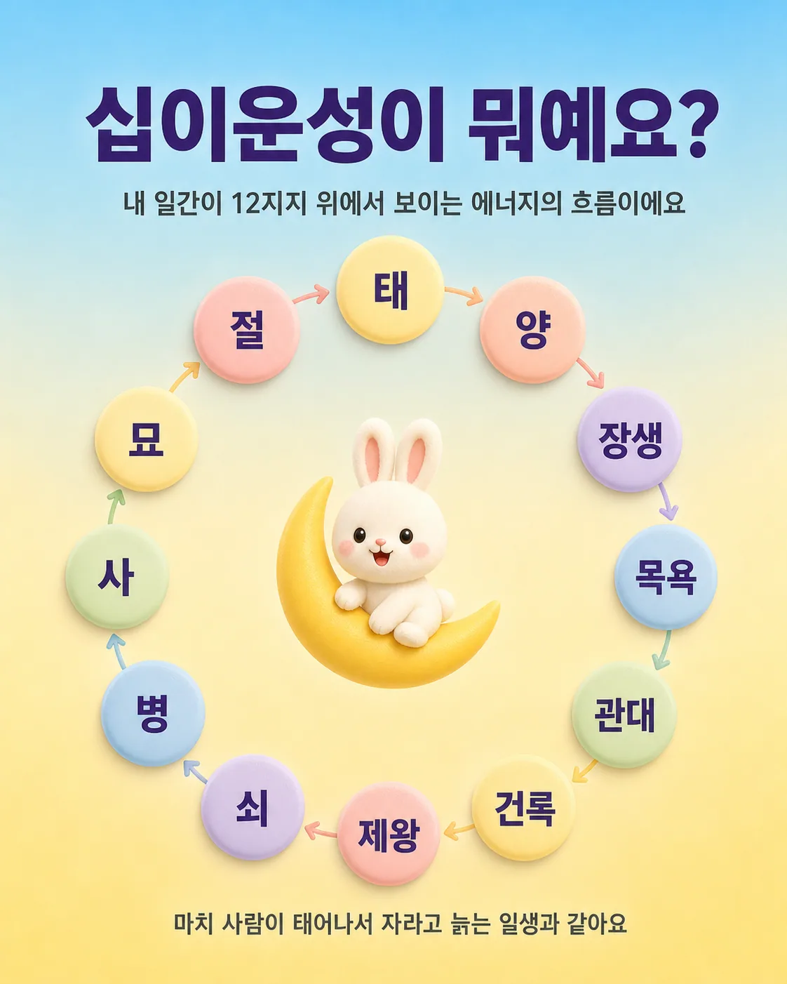 십이운성의 12가지 단계가 원형으로 배치된 도표와 가운데 앉은 토끼