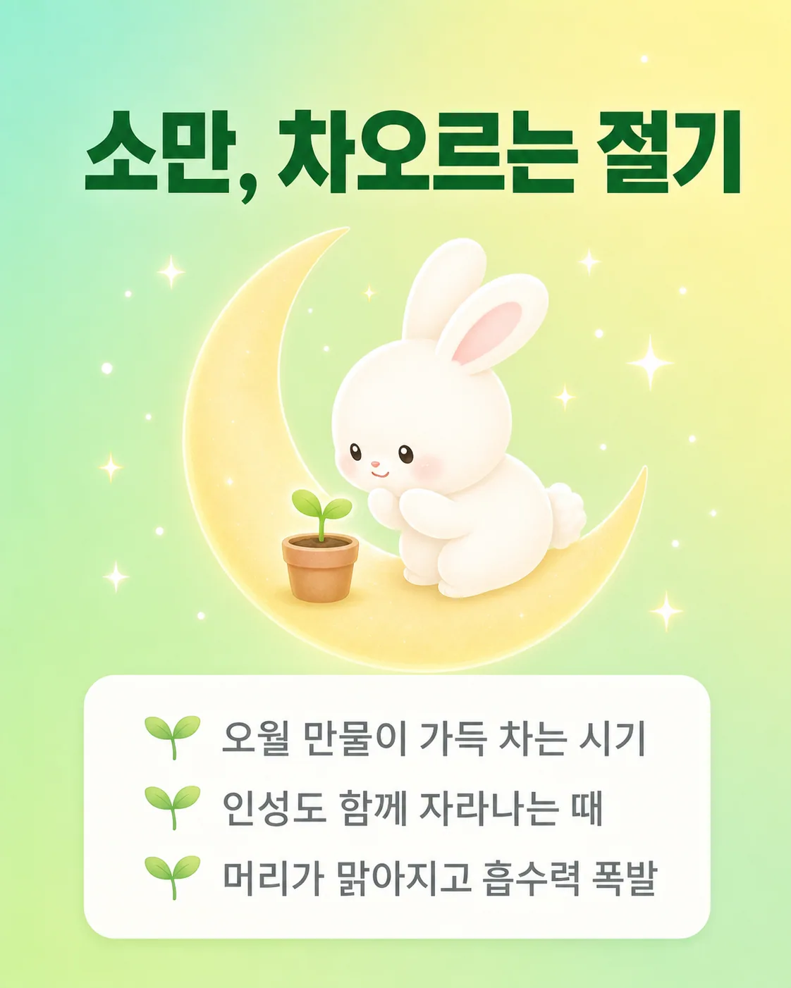 화분 속 작은 새싹을 바라보는 토끼와 소만 절기에 대한 설명이 적힌 이미지