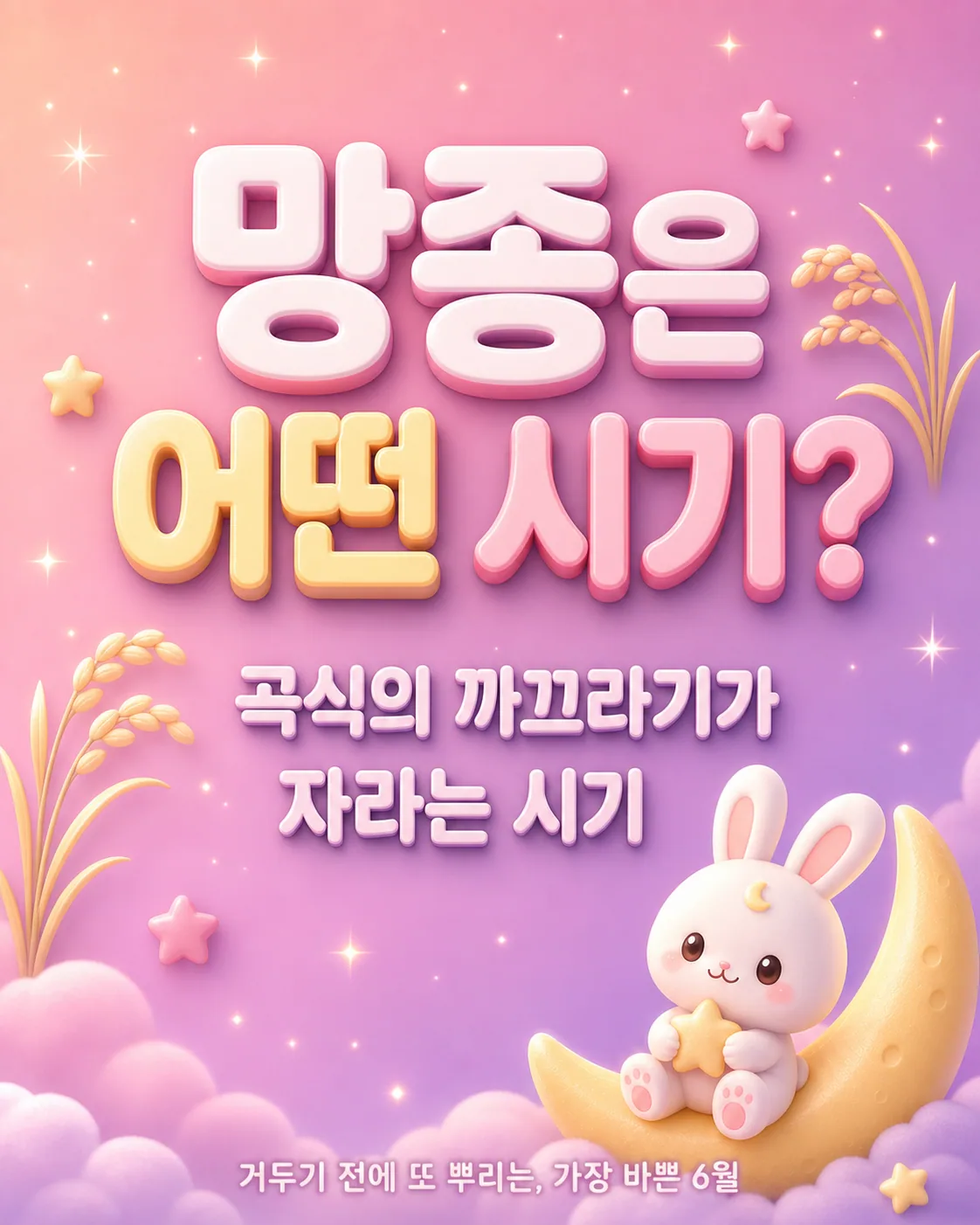 파스텔 톤 배경에 벼 이삭이 그려져 있고 망종은 어떤 시기인지와 곡식의 까끄라기가 자라는 시기라는 문구가 적힘