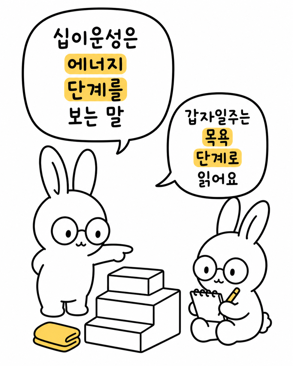 안경 쓴 토끼가 계단 모형을 가리키며 '십이운성은 에너지 단계를 보는 말, 갑자일주는 목욕 단계로 읽어요'라고 설명하고 다른 토끼는 이를 적는 모습