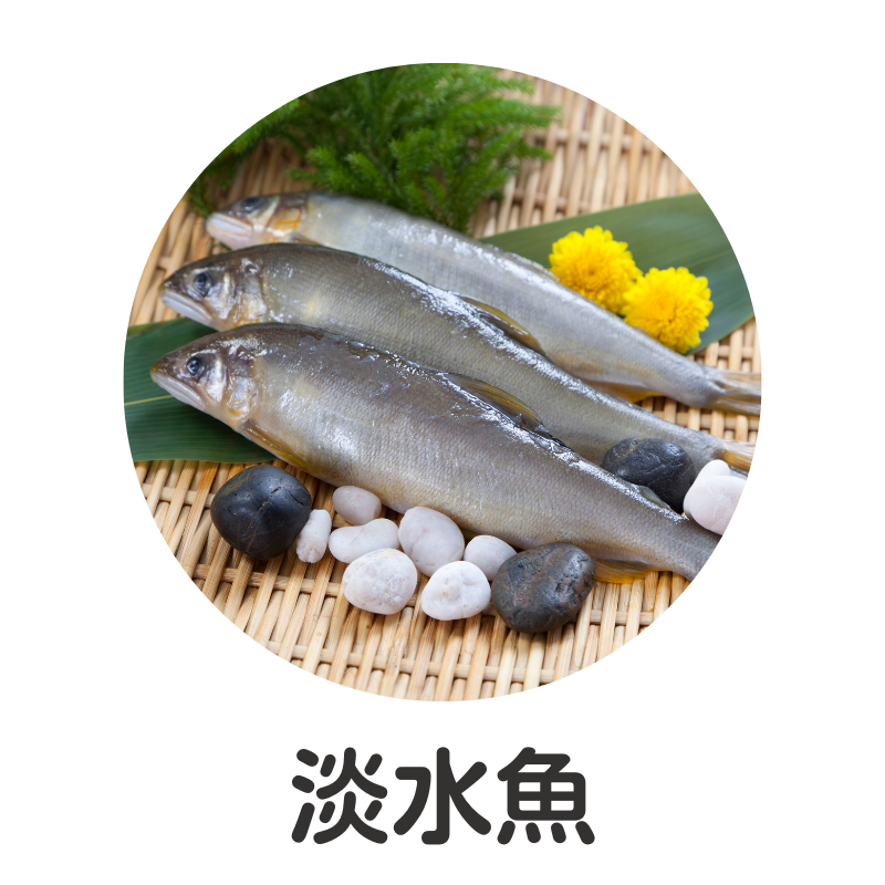 淡水魚