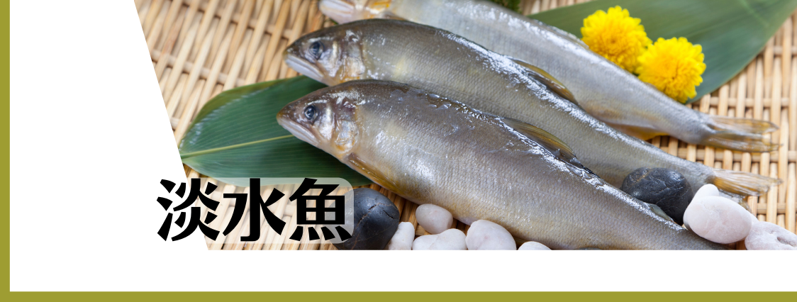 淡水魚