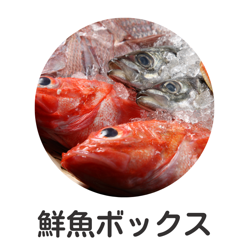 全国の鮮魚ボックス特集！