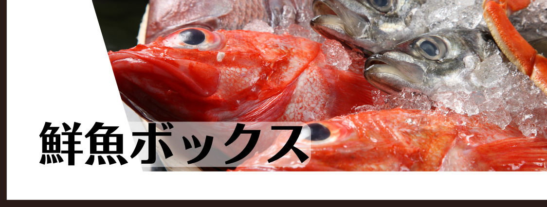 全国の鮮魚ボックス特集！
