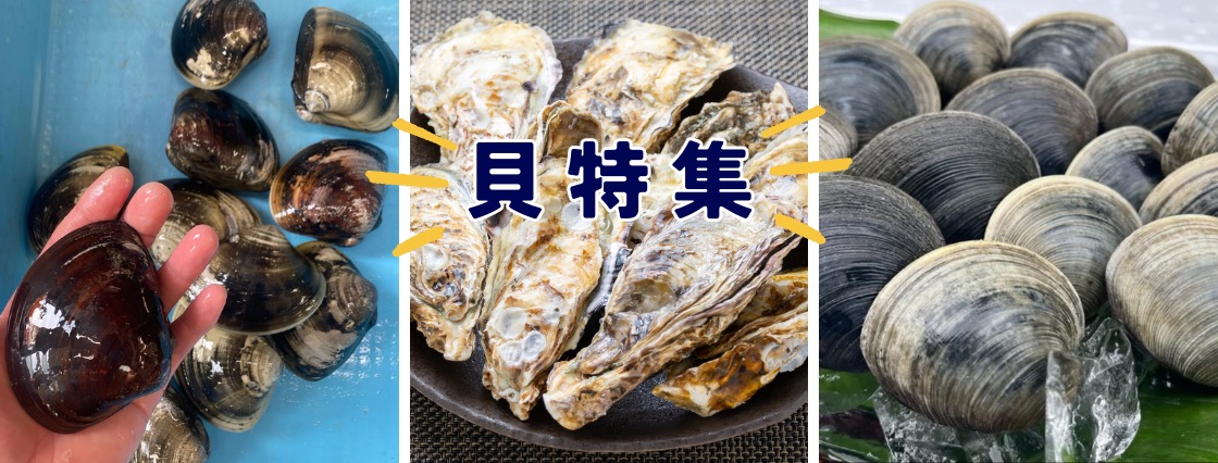 貝特集