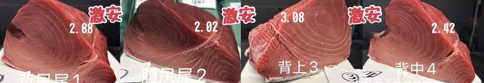 天然生本マグロ