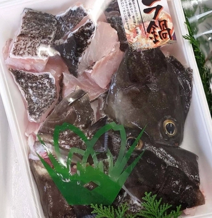 対馬クエ　鍋用カット予約開始です！