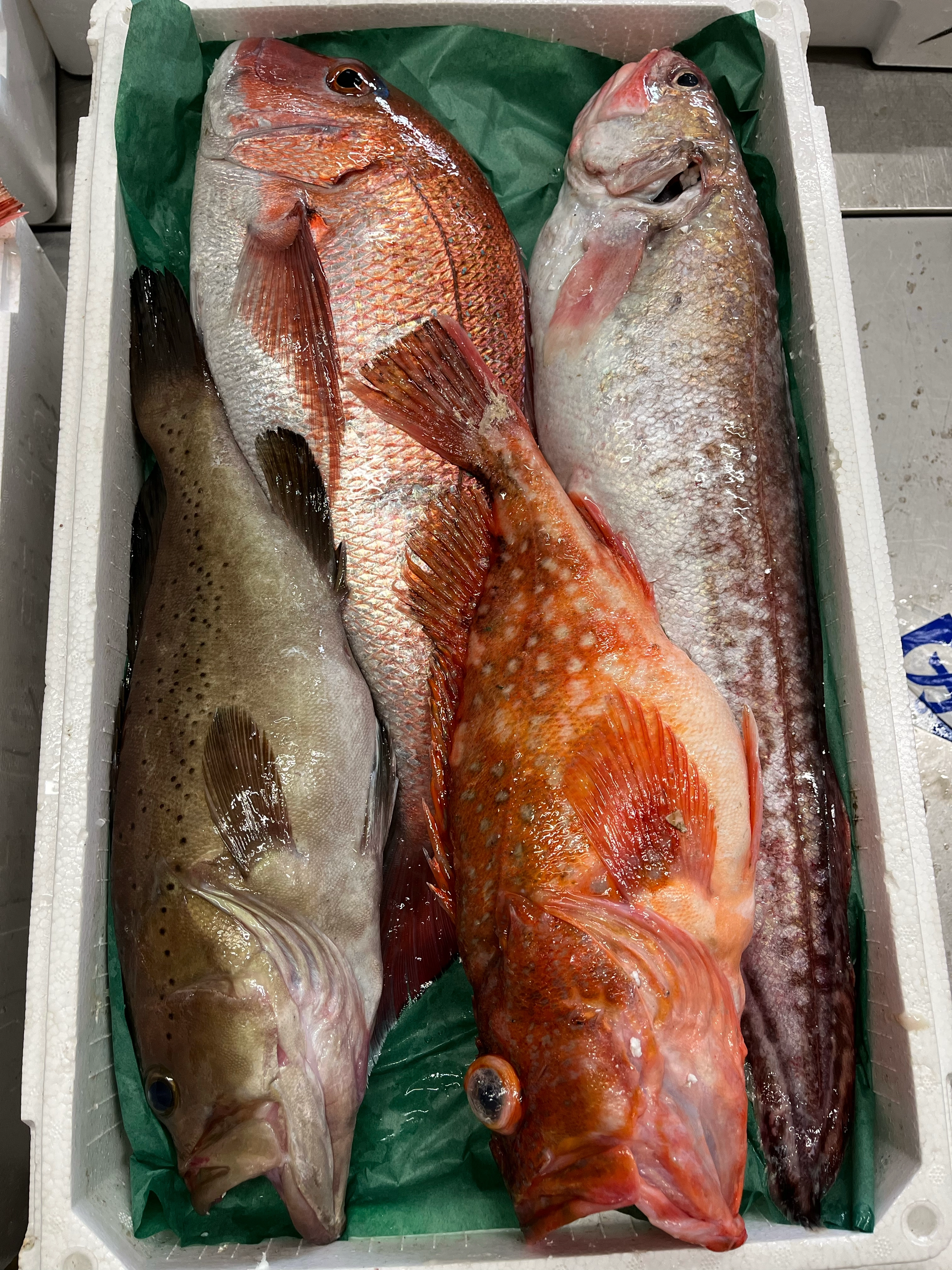 島根県大田市からお届けするお買い得鮮魚BOX!