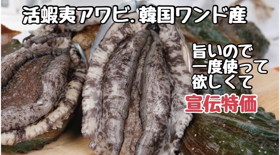 韓国ワンド産　活蝦夷アワビ