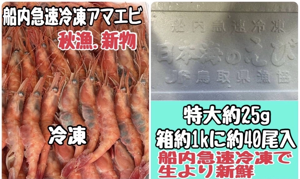 船内急速冷凍アマエビ