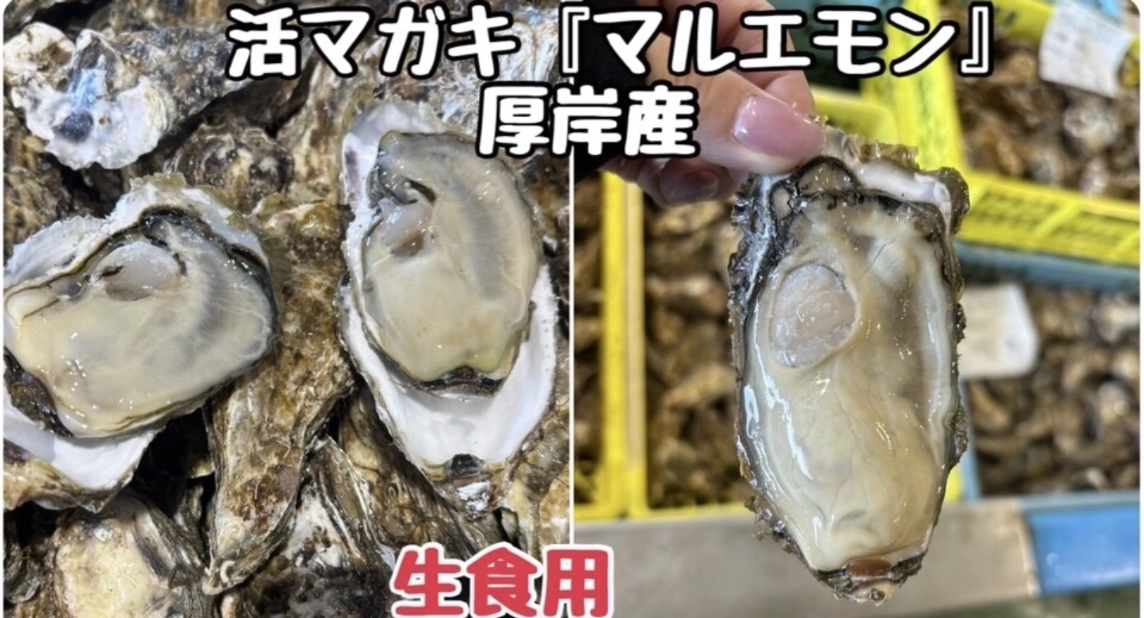 真牡蠣(マルエモン)
