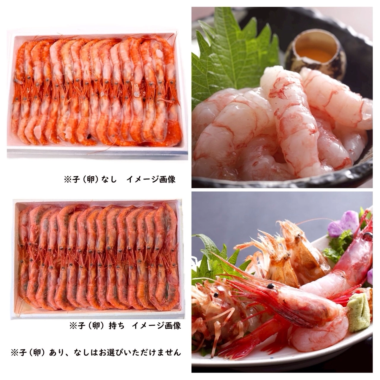 船内冷凍甘エビ