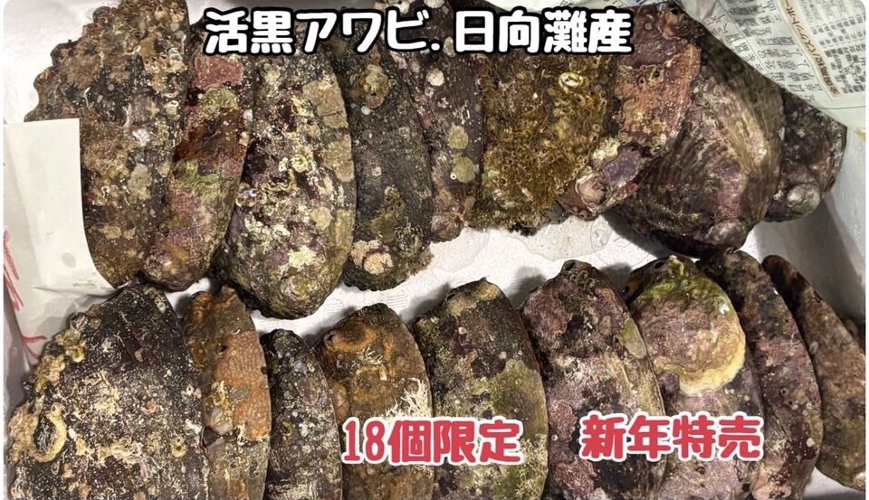 特売！活黒アワビ