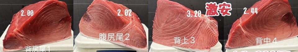 天然生本マグロ