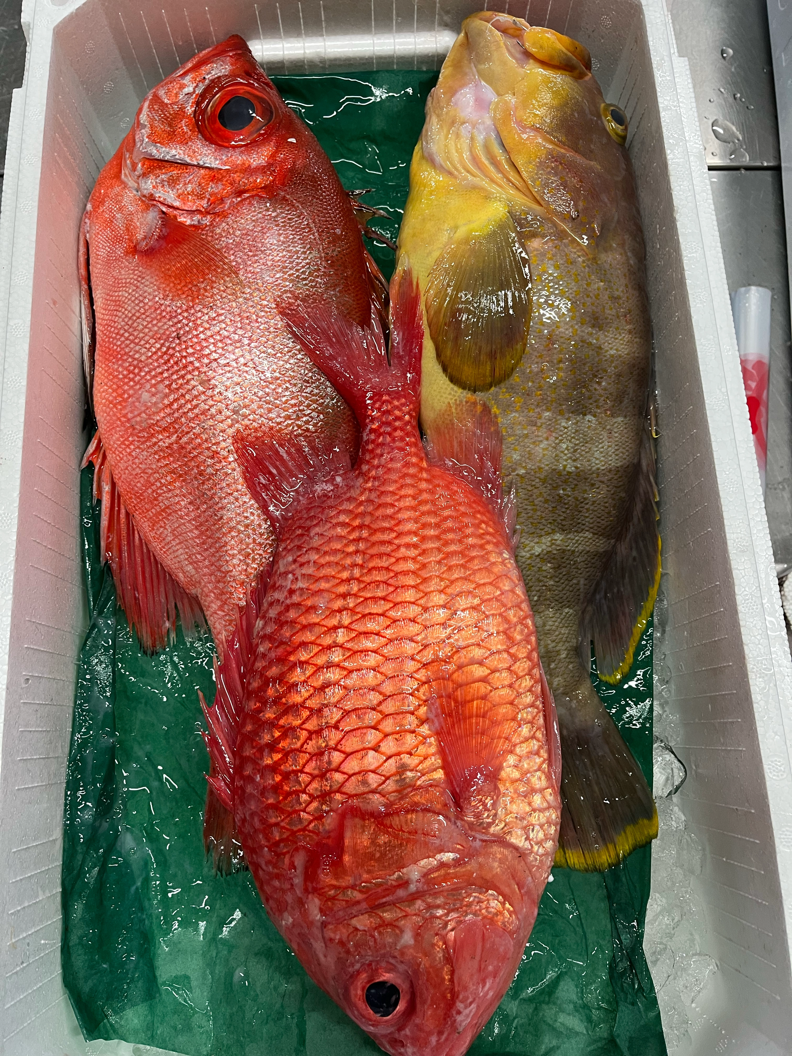 エビスダイ入りです！