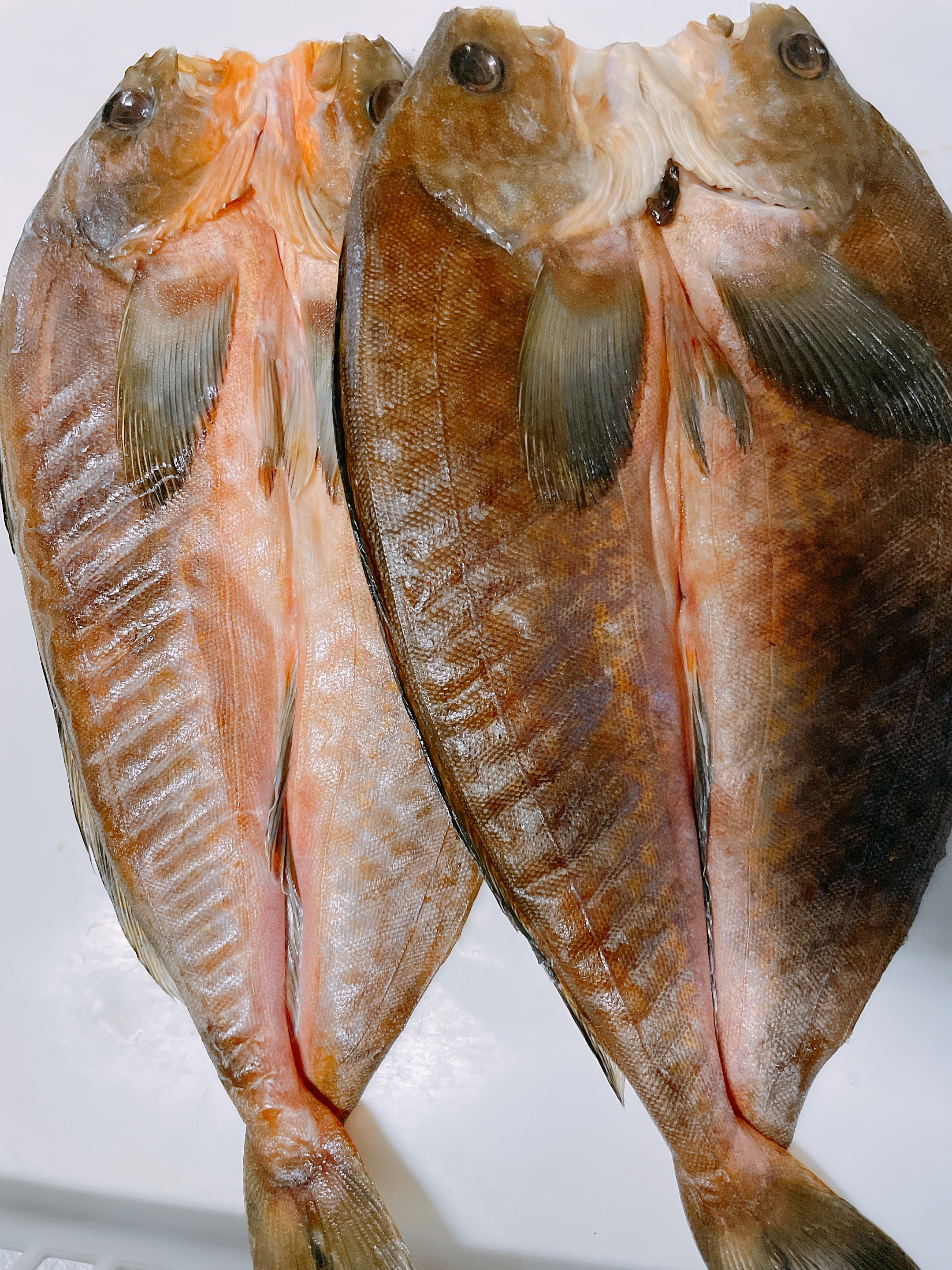 最高の仕上がりとなってます。
地元でもなかなか食べることがないサイズです。
