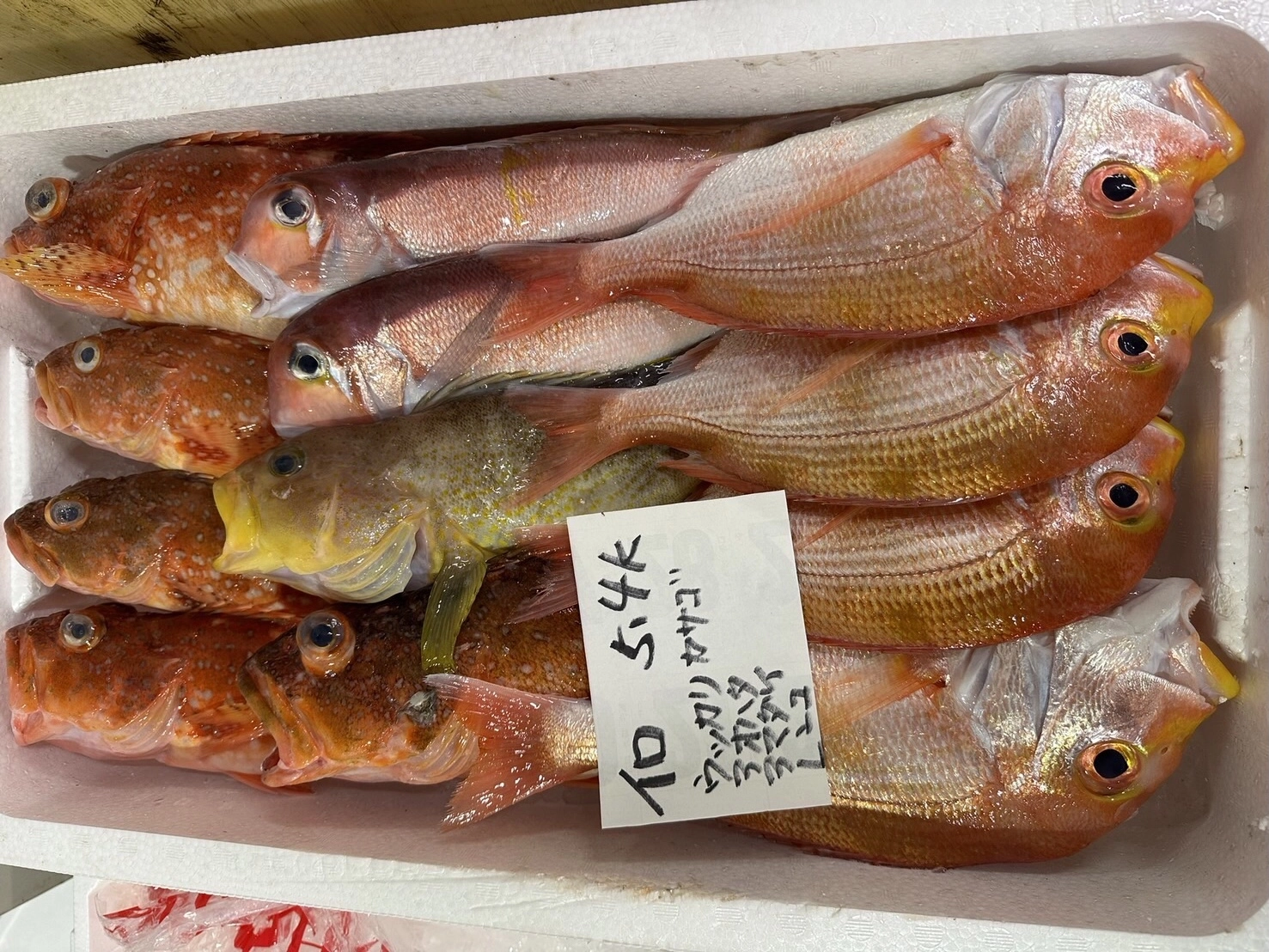 今朝どれの人気セット！