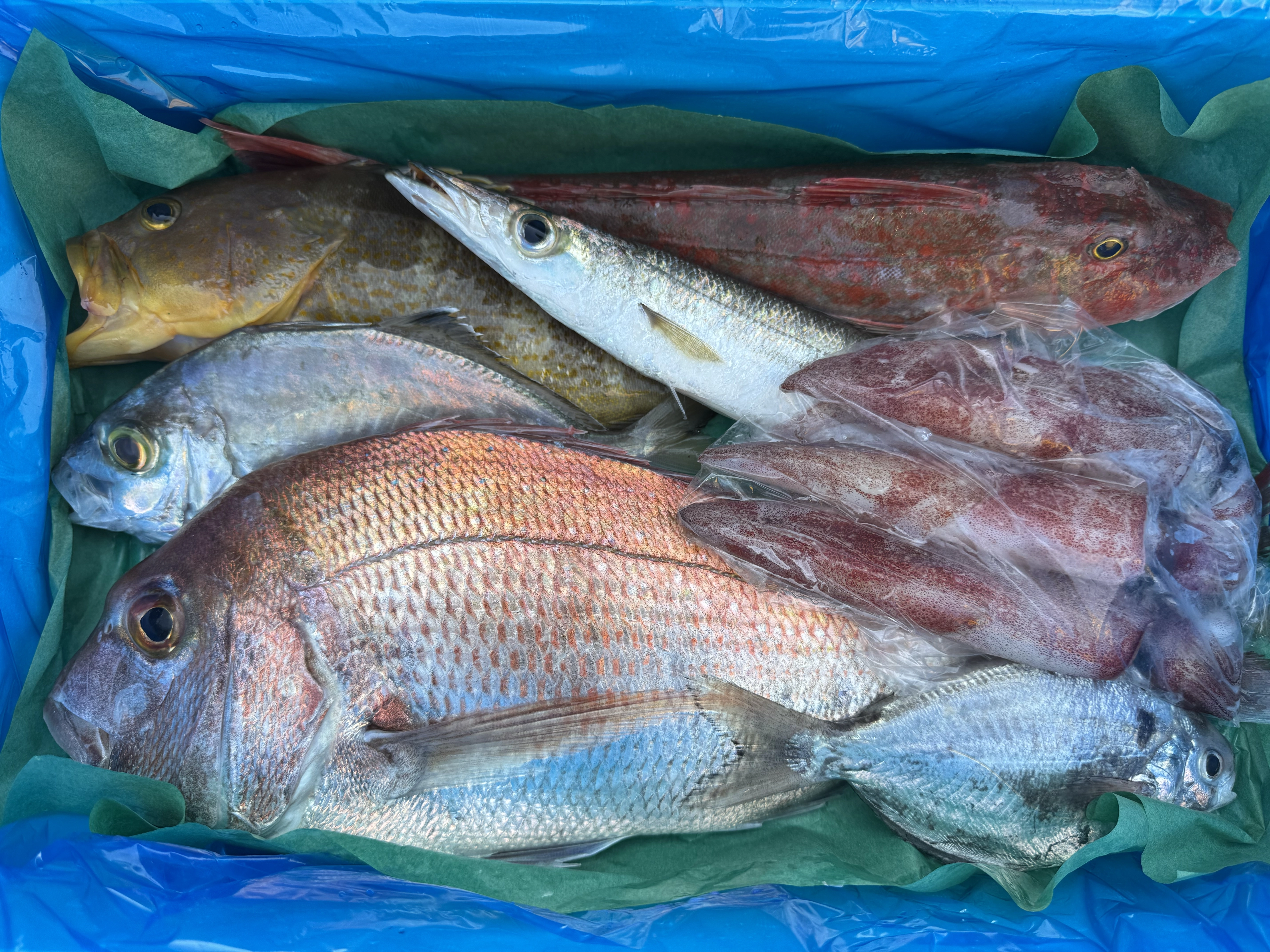 産直！鮮魚ボックス！
