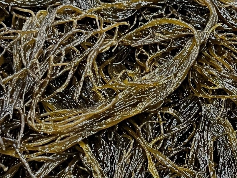 もずく　一度食べてみて下さい‼️⭐️感動する美味さです⭐️青森県　🌊津軽海峡産🌊