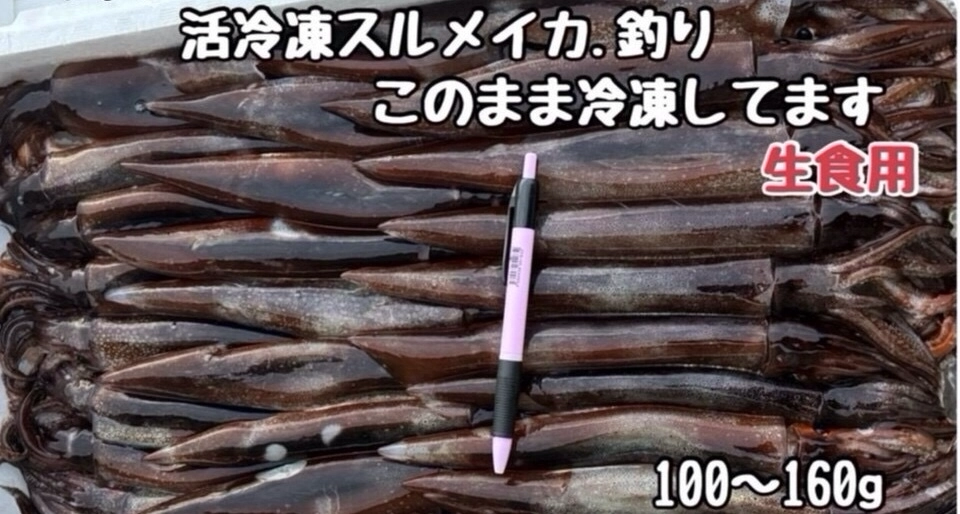 活冷凍スルメイカ