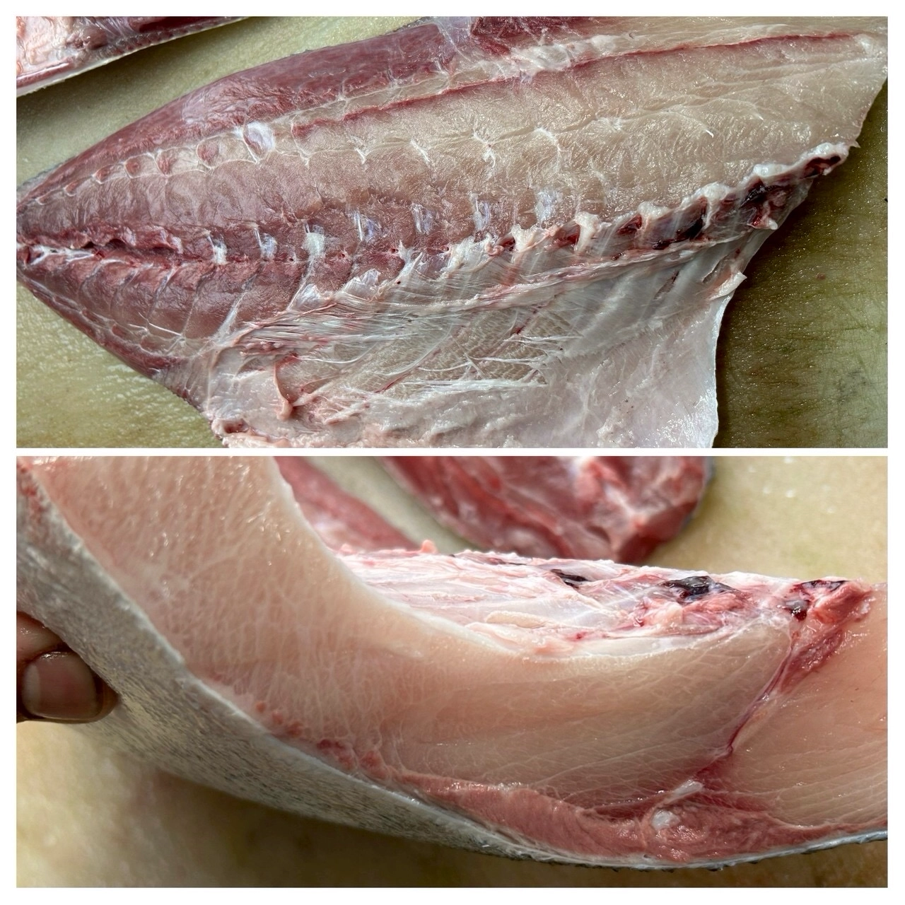 対馬蓄養ブリ　美味しいですよ❣️