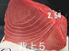 戸井産天然生本マグロ