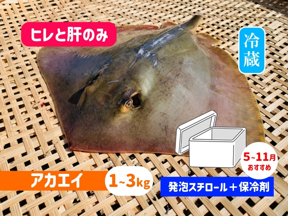 アカエイ《ヒレと肝》【発泡スチロール箱＋保冷剤】
