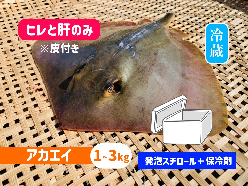 アカエイ《ヒレと肝》【発泡スチロール箱＋保冷剤】