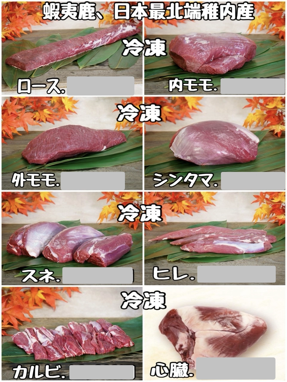 日本最北端の蝦夷鹿確保です