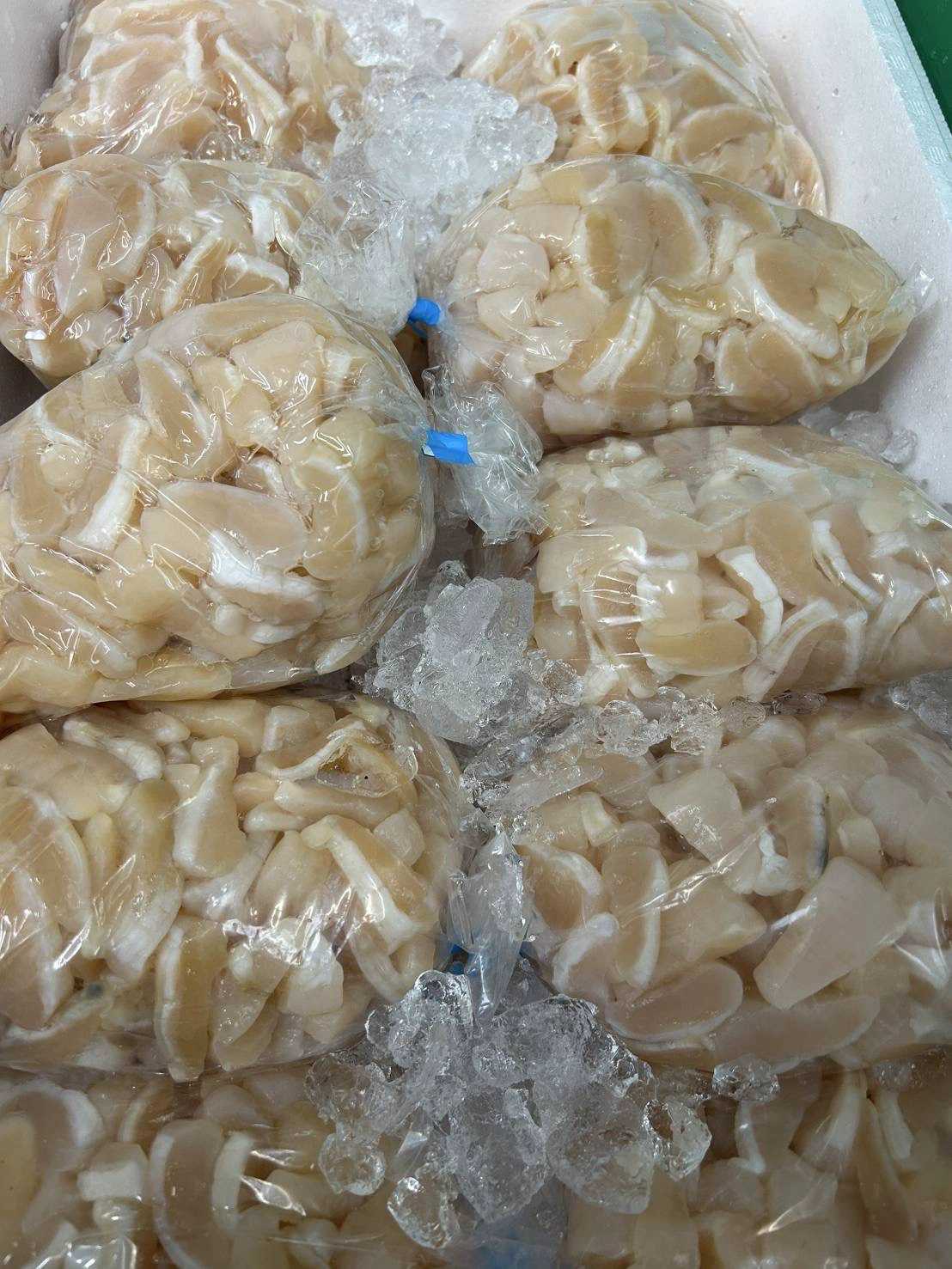 アコヤ貝の貝柱⭐️