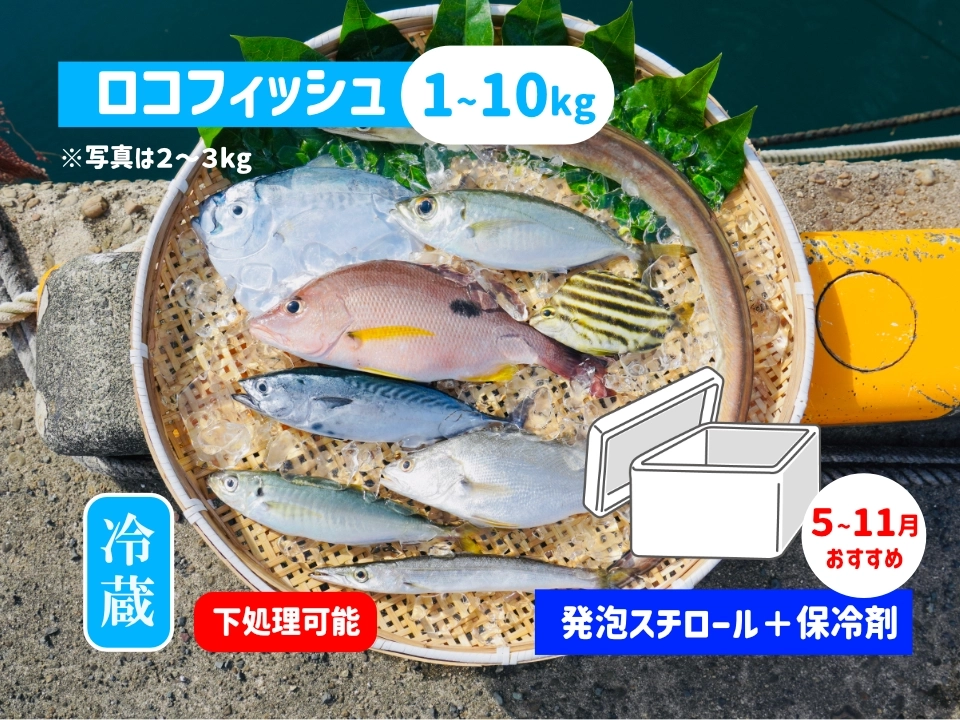 下処理可能！ロコフィッシュ鮮魚ボックス【発泡スチロール箱＋保冷剤】