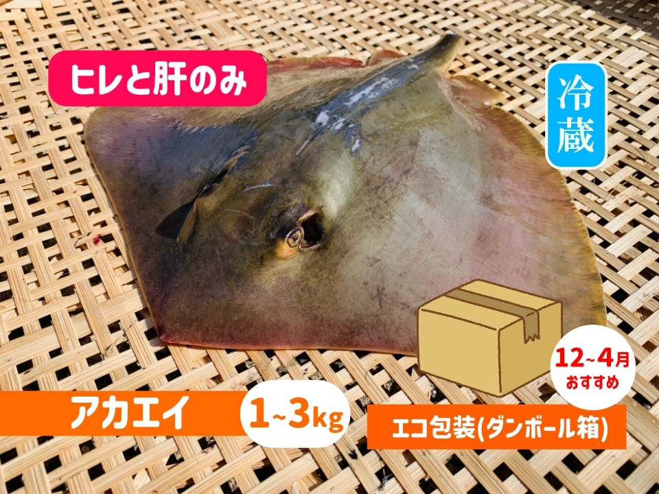 アカエイ《ヒレと肝》【エコ包装】