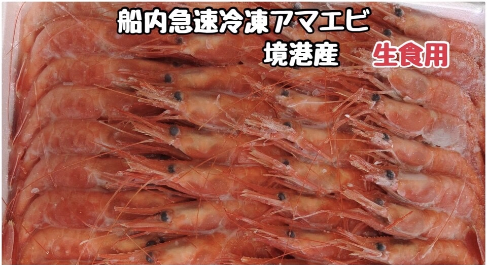 船内急速冷凍アマエビ　特大サイズ