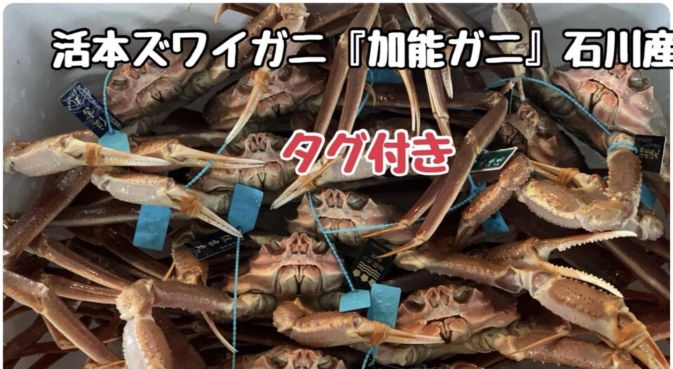 活本ズワイガニ