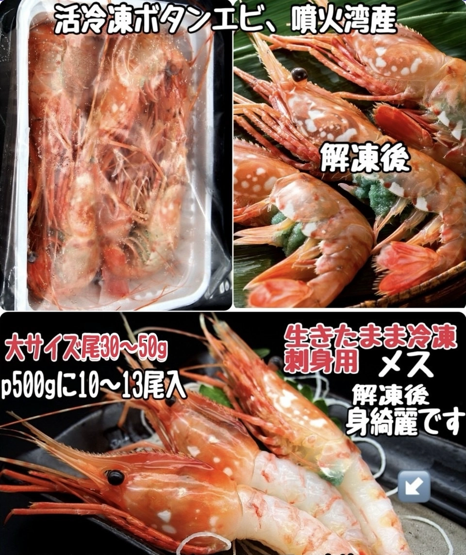 大トロ金華イワシフィーレ、極上ボタンエビ　宣伝特価