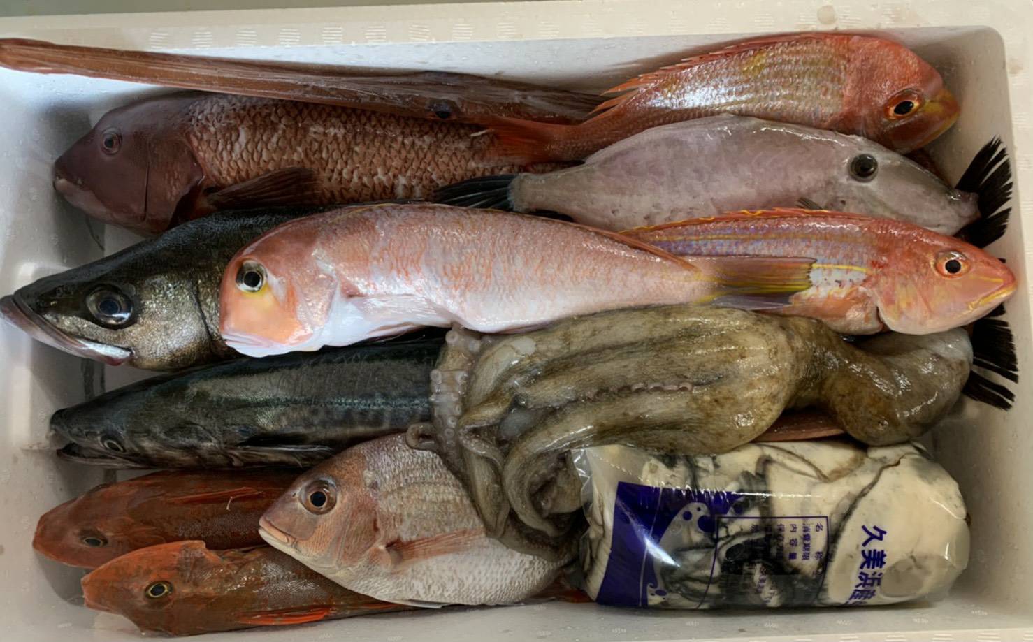出荷サンプルです。

6800円のボックスは小さめの鮮魚になります。