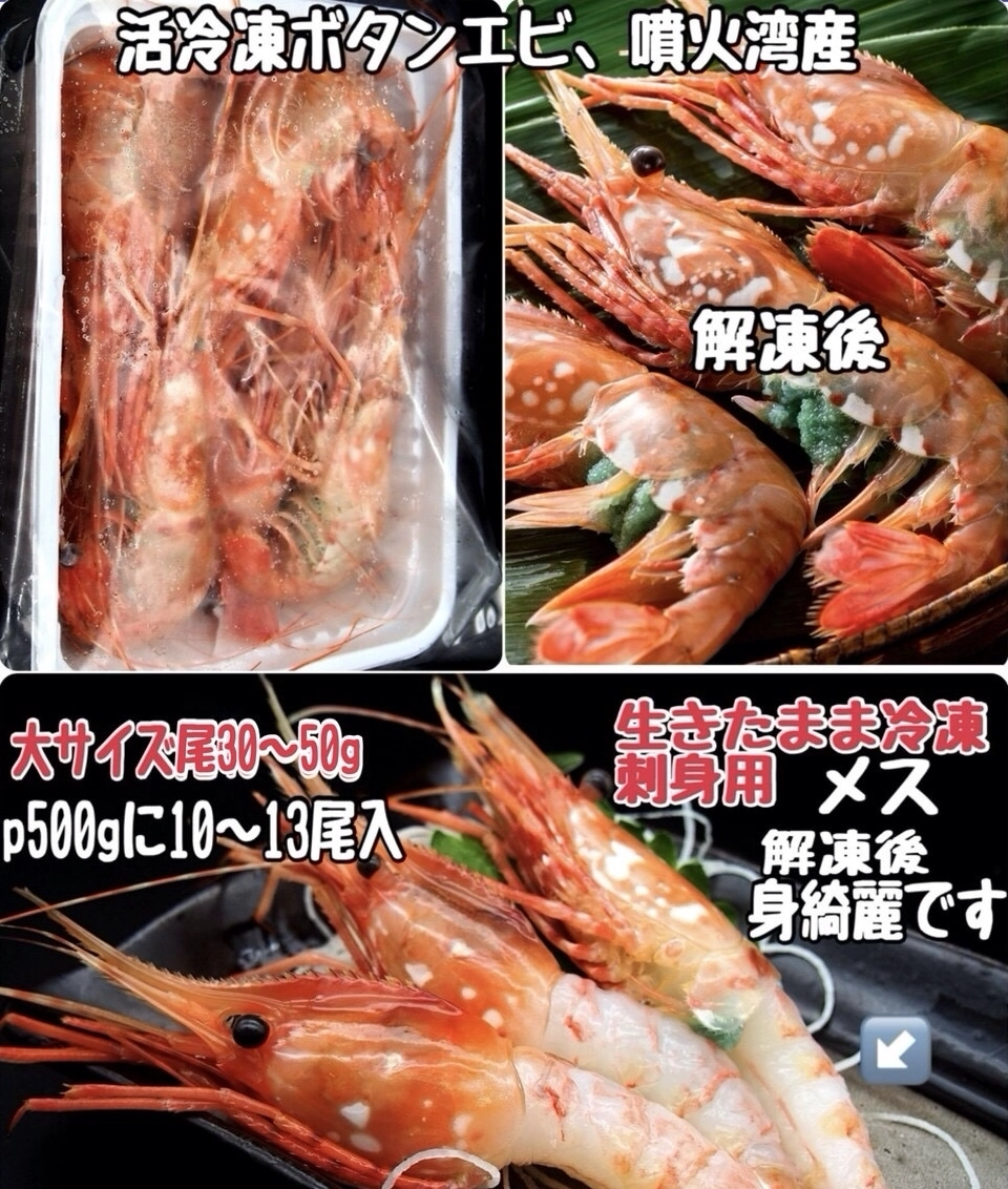噴火湾産活冷凍ボタンエビ
