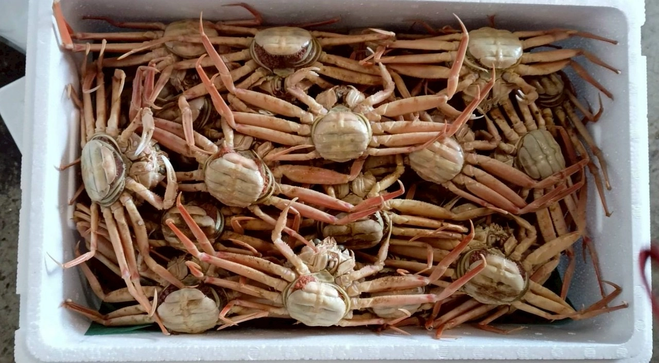 年末年始発送します🦀