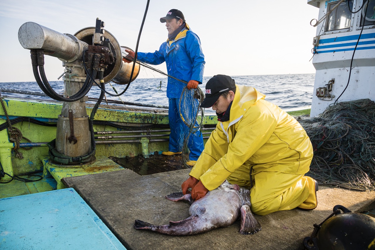 身欠はこのような状態です。