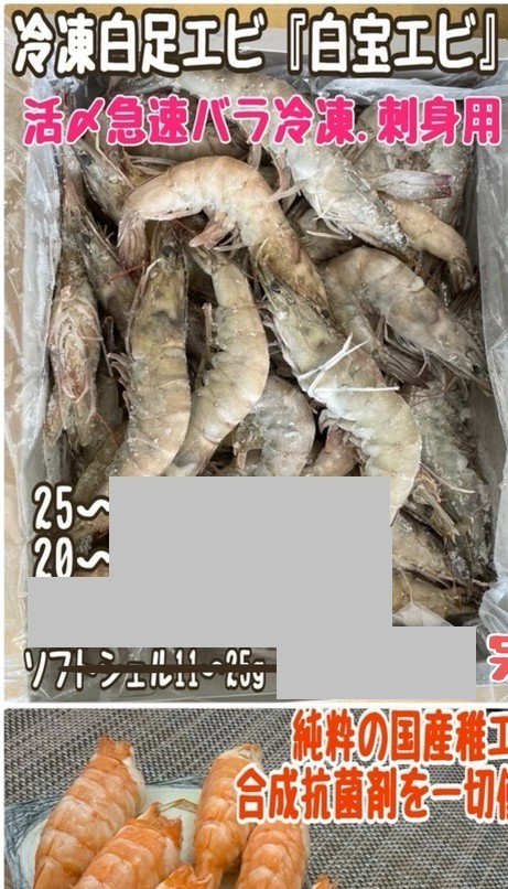 ⑥白宝海老・活き〆急速冷凍・純国産養殖・指宿産・薬品授与ゼロ・箱1ｋ 他2品