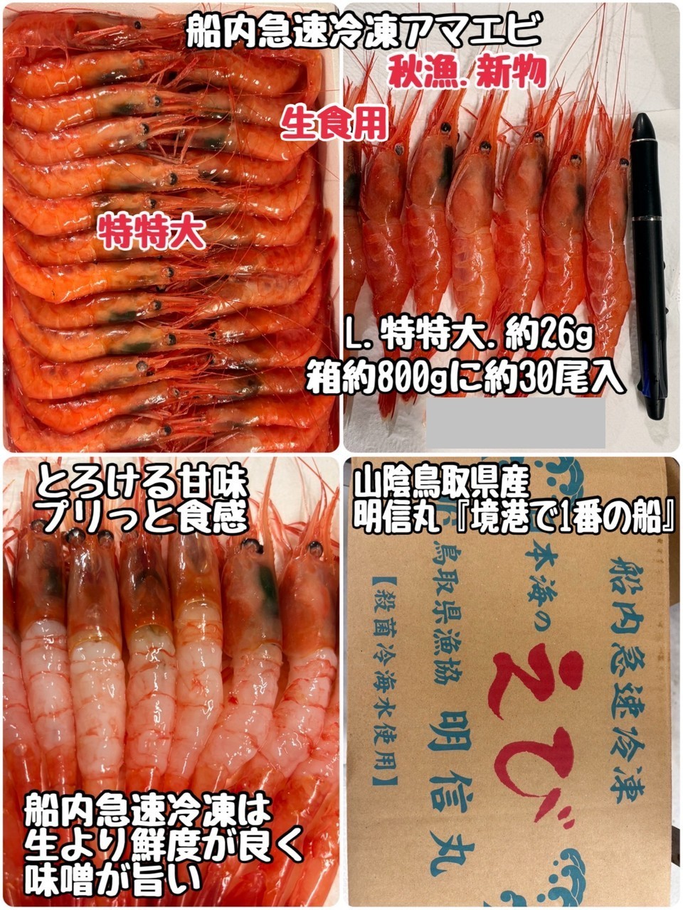 ①船内急送冷凍アマエビ・刺身用・山陰鳥取県産・明信丸ブランド・箱約800 他1品