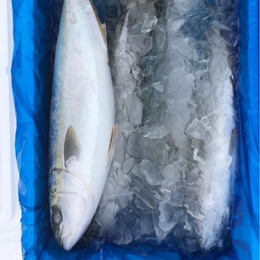 銚子 かない水産 画像3