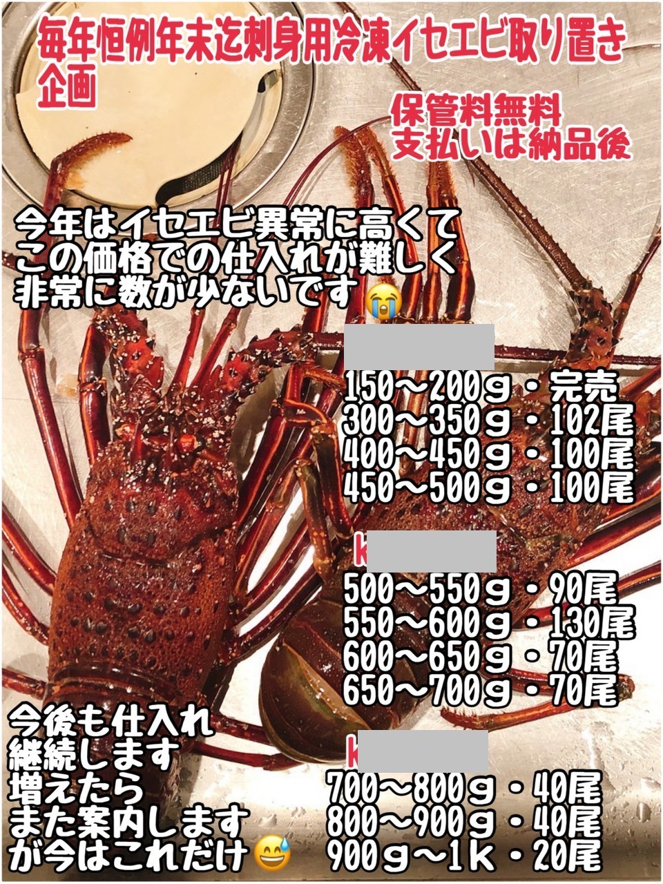 ①活冷凍イセエビ・千葉県産・生きたまま仮死状態で一気に冷凍・刺身用 他10品