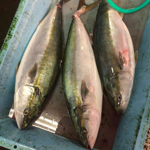 小西鮮魚店 画像6