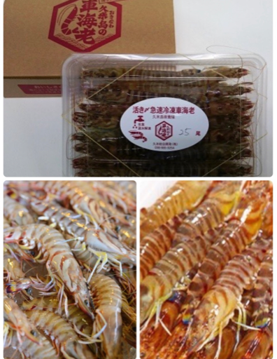 久米島 金井丸 紹介画像1